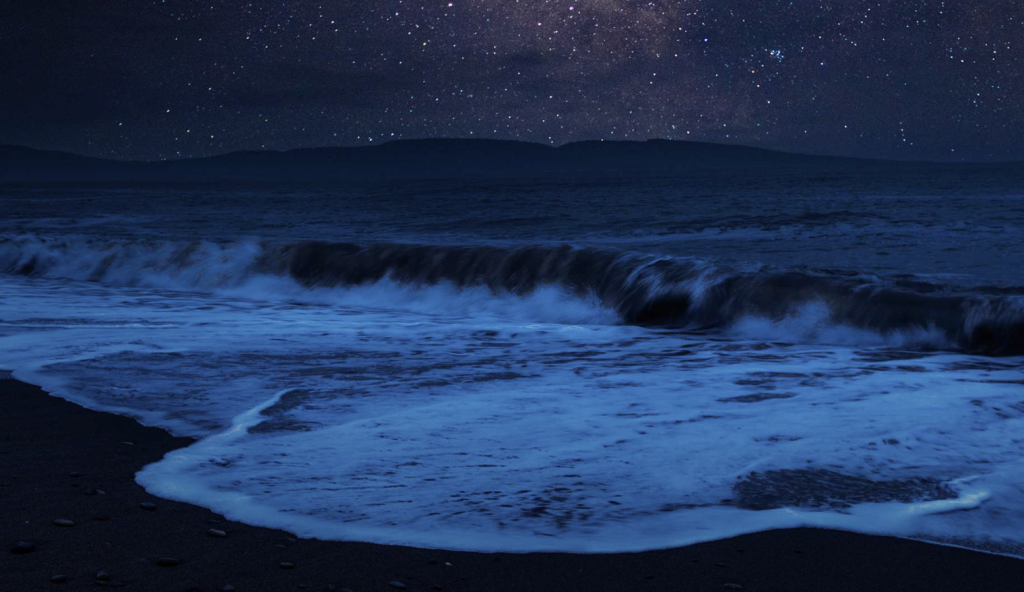 It’s a beach at night